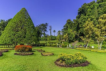 Royal Botanic Garden Peradeniya