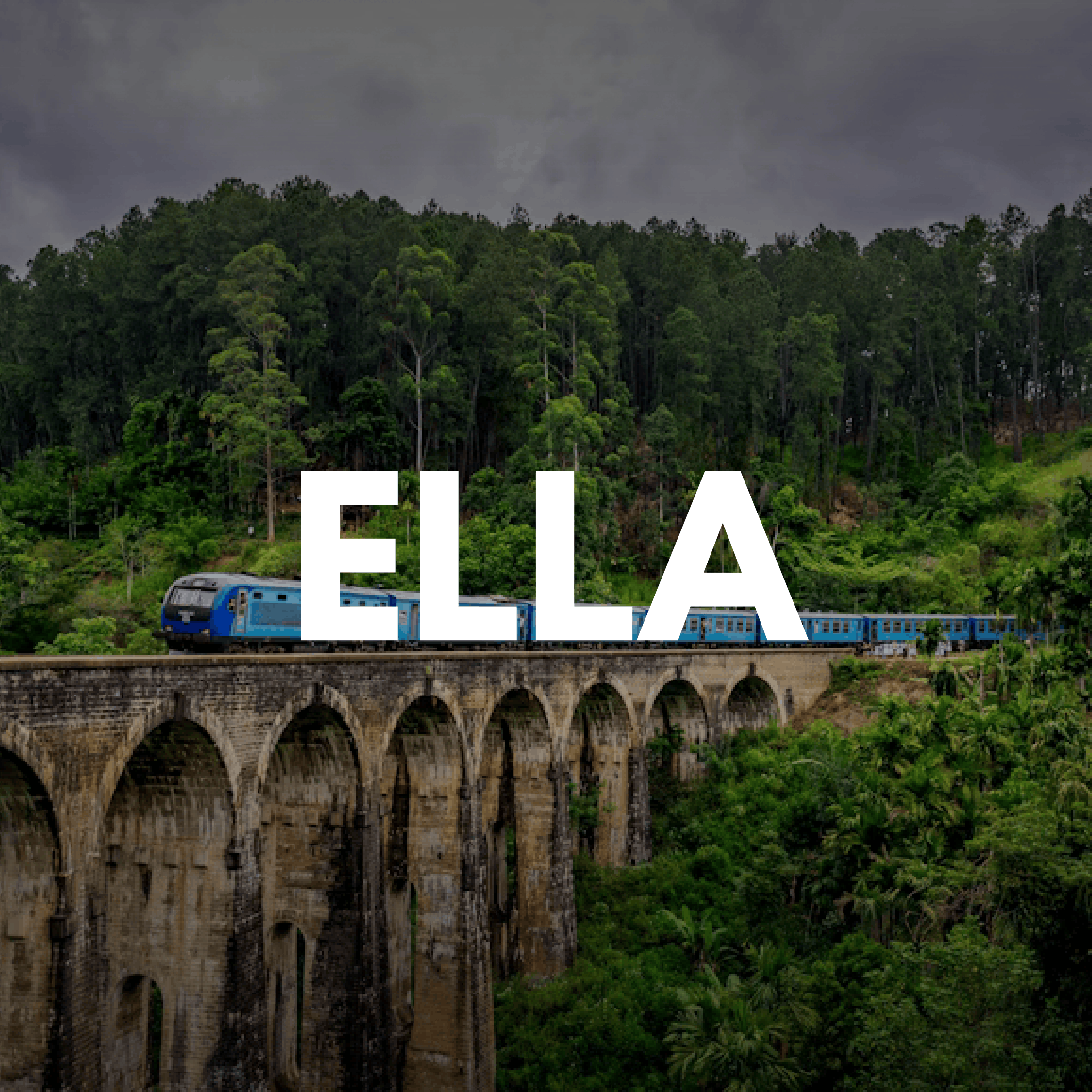 Ella Day Tour