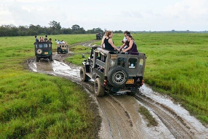 Wilpattu Safari Jeep