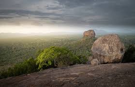 Pidurangala Rock View