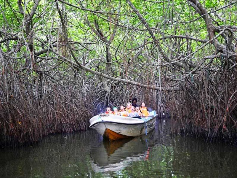Madu River Boat Safari Balapitiya