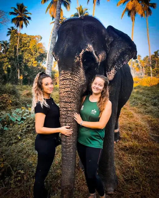 Pinnawala 3 Millennium Elephant Foundation Kegalle