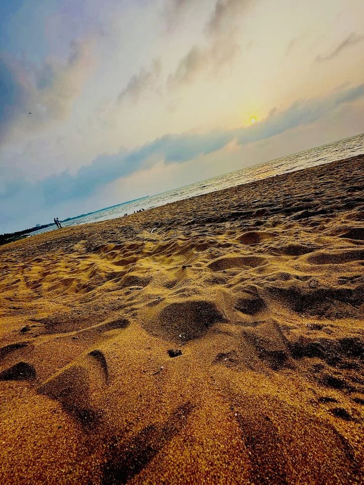 Negombo 1 Negombo Beach Browns Beach