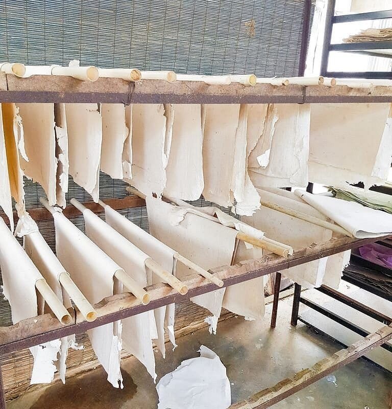 Pinnawala 4 Maximus Elephant Dung Paper Factory
