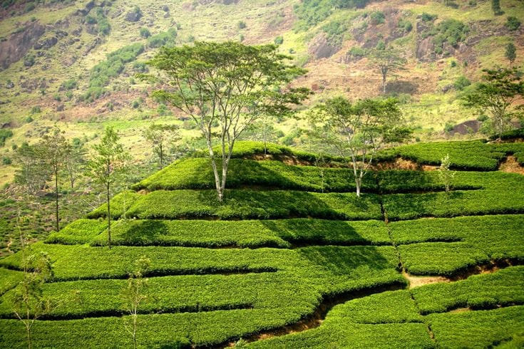 Sri Lanka Hill Country Train
