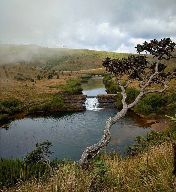 Nuwara Eliya 1 Horton Plains National Park World's End