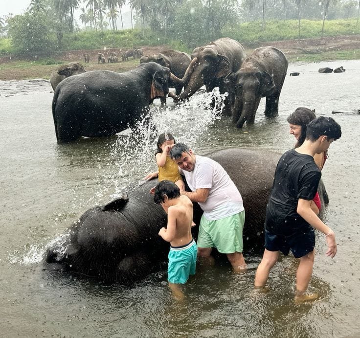 Pinnawala 2 Elephants bathing in Maha Oya River Pinnawala