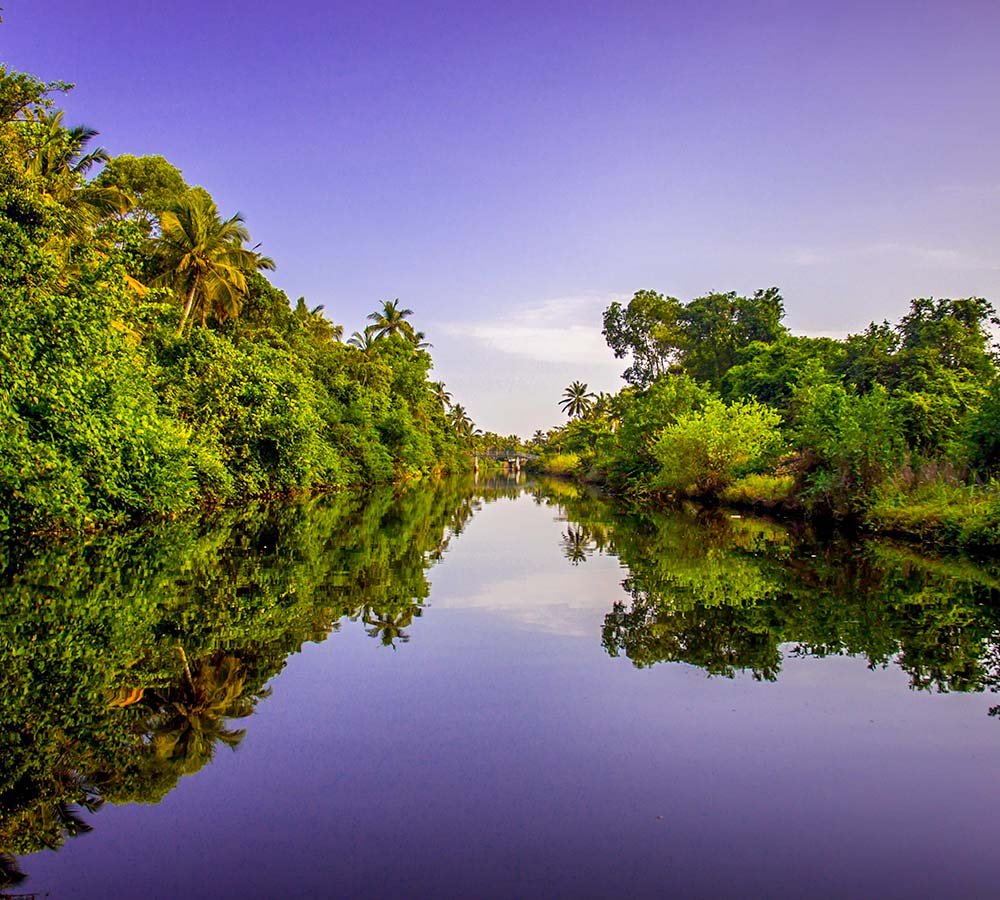 Negombo 4 Muthurajawela Marsh Boat Safari