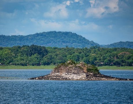 Polonnaruwa 4 Parakrama Samudra Lake Polonnaruwa