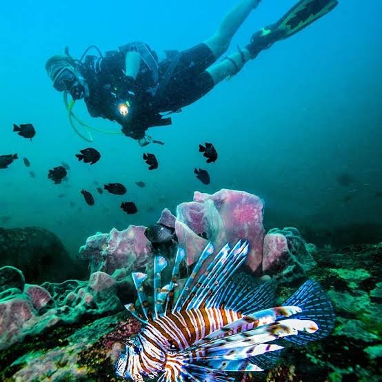Snorkeling and Scuba Diving in Pasikuda