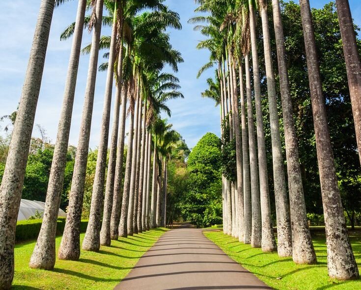 Destinations 17 Peradeniya