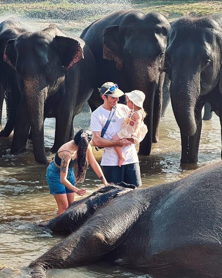 Pinnawala 1 Pinnawala Elephant Orphanage Sri Lanka