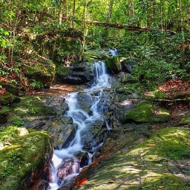 Sinharaja Rainforest 3 Hidden Waterfalls Doowili Ella Sinharaja