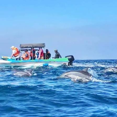 Kalpitiya 2 Spinner Dolphin Watching Boat Tour Kalpitiya