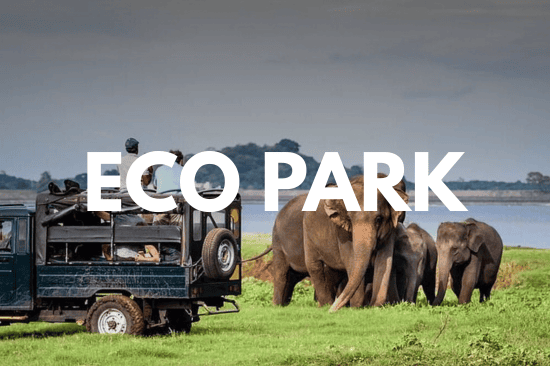 Hurulu Eco Safari