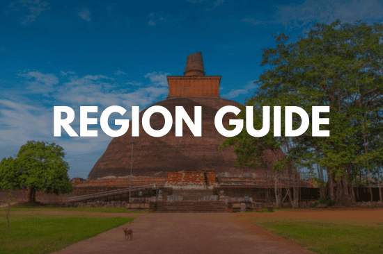 Region by Region